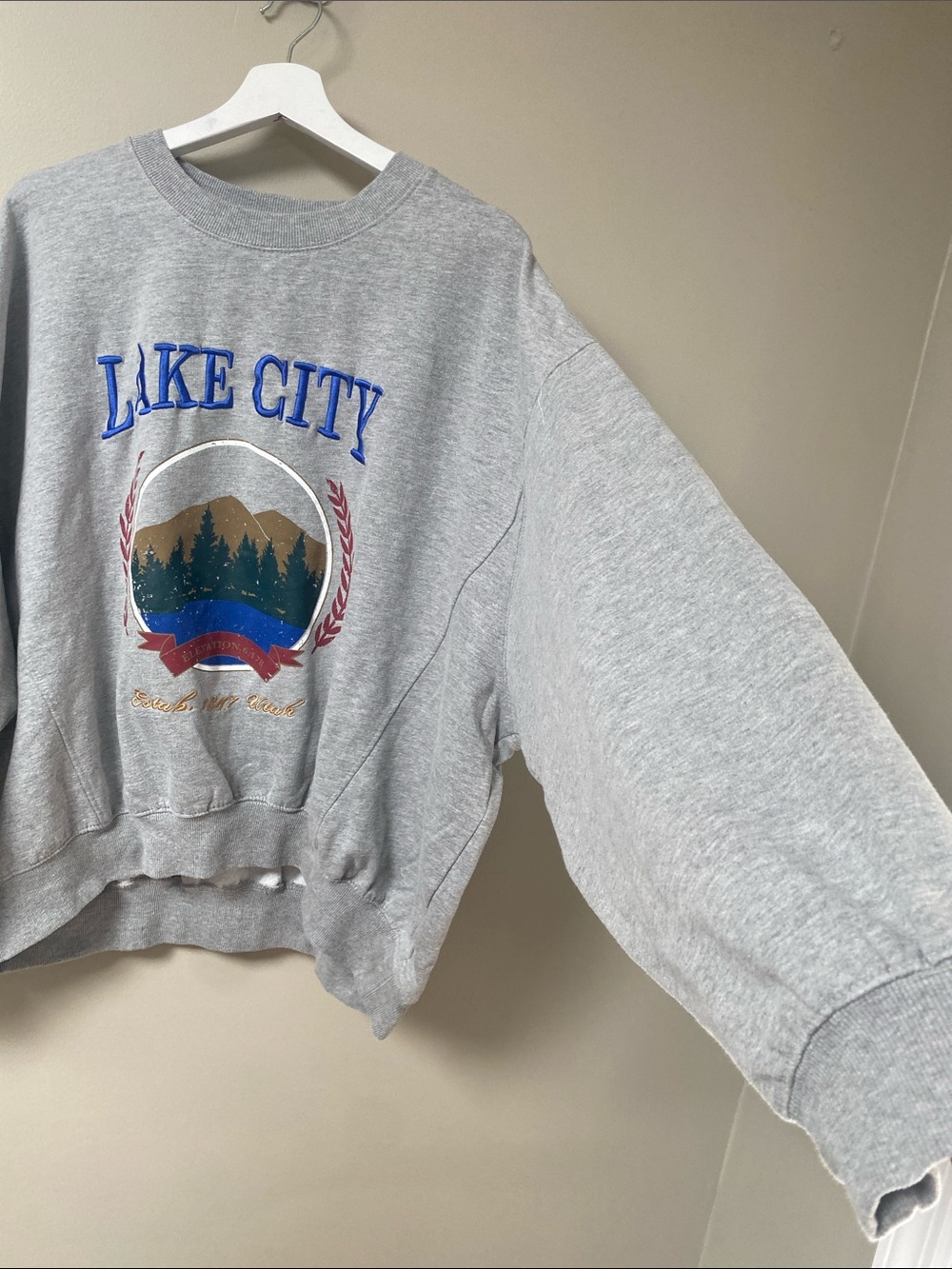 Urban Outfitters Lake City Crew Neck oversized Sweatshirt size Large - Picture 3 of 7